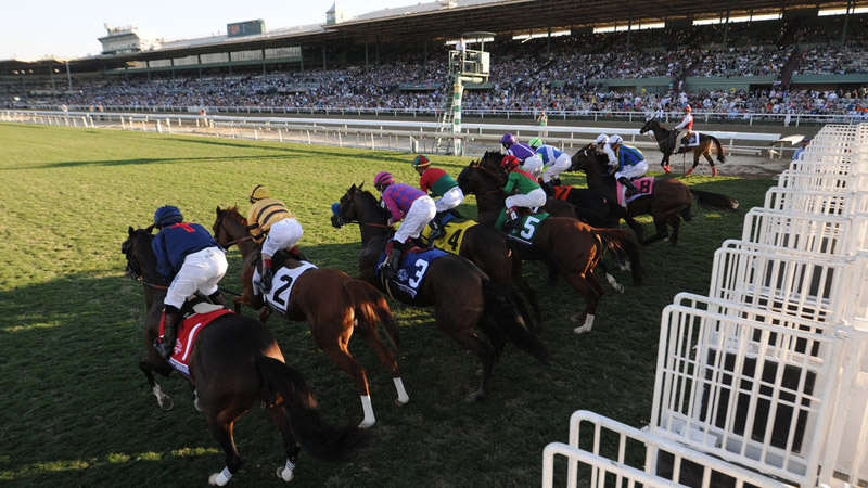 Breeders Cup Seating Chart