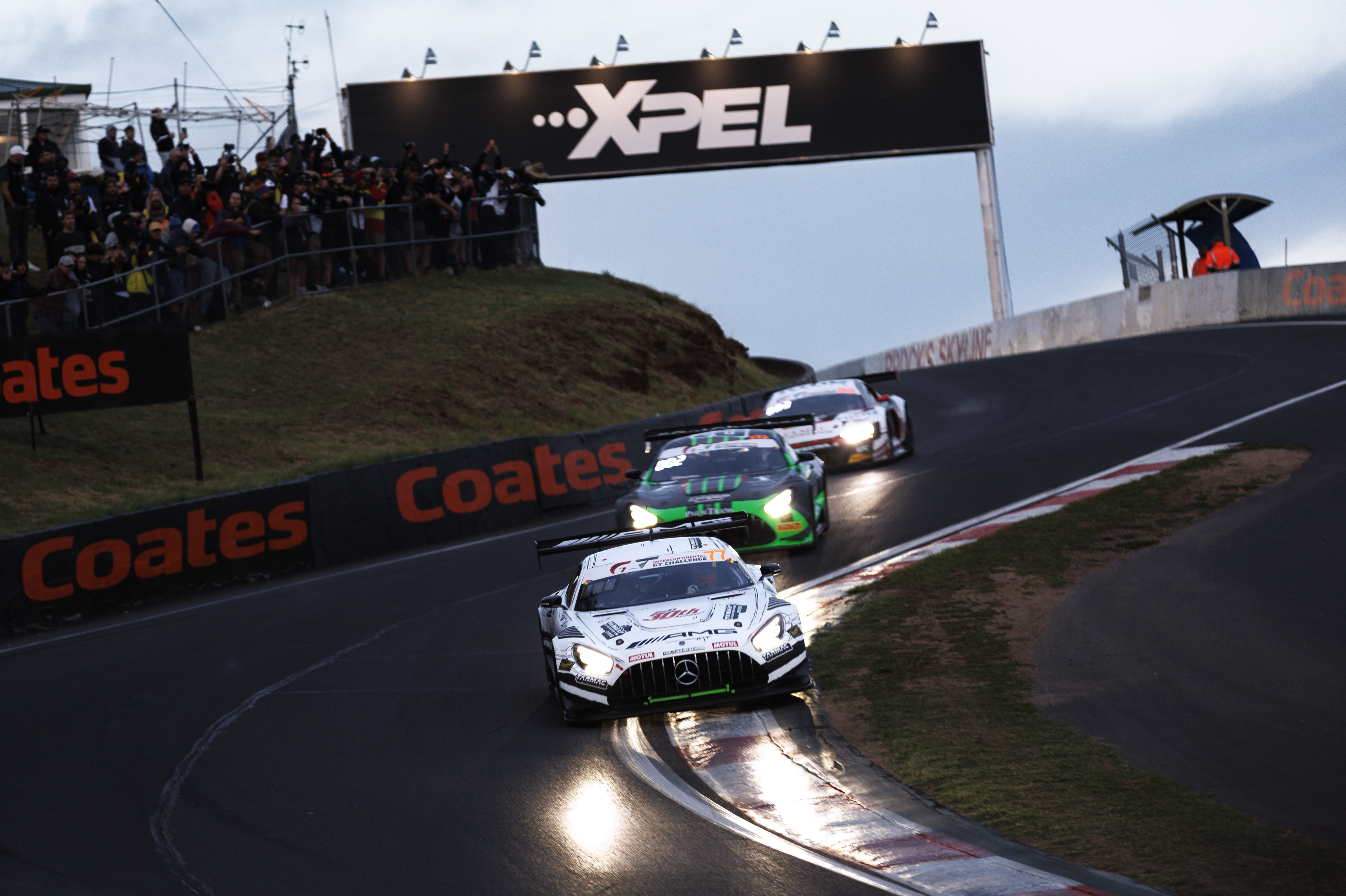 Package Description Image