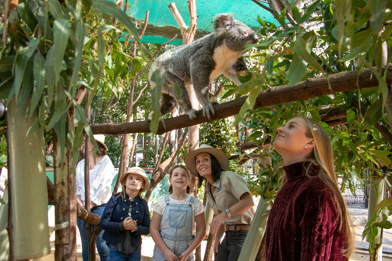 Currumbin Wildlife Sanctuary
