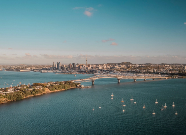 Auckland Harbour and Dinner Cruise