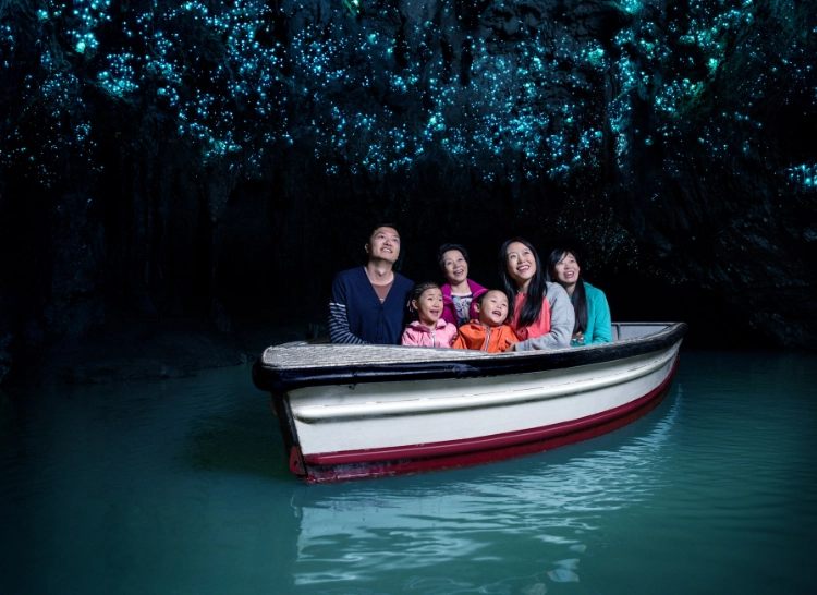 Waitomo Glowworm Cave Tour