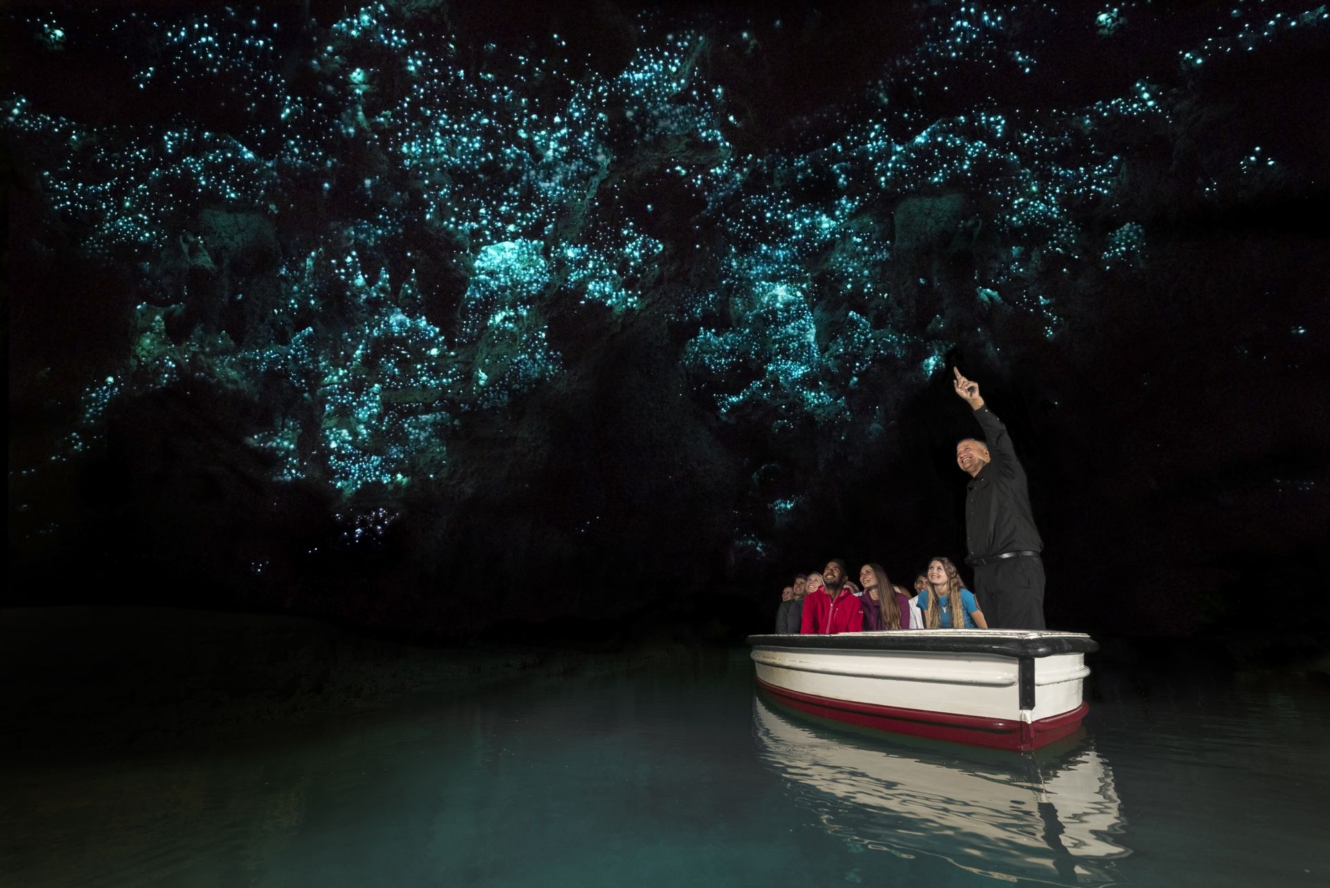 Experience Auckland Beyond the Game