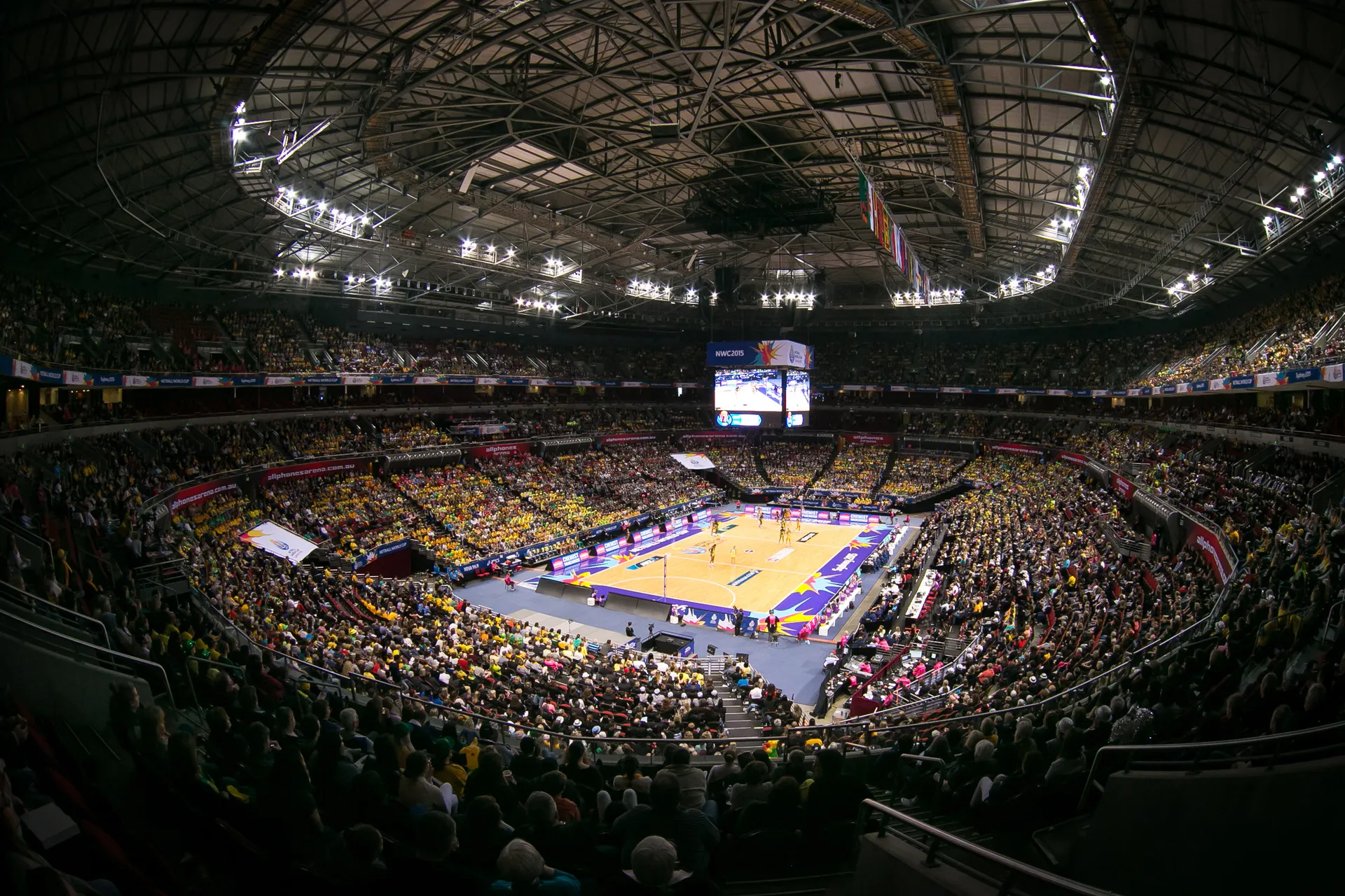 Courtside Boxes